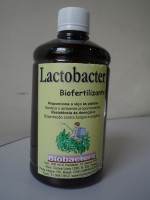 Biofertilizante LACTOBACTER 